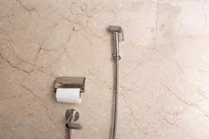 a shower with a toilet paper dispenser on a wall at Pine Country Resort in Mukteshwar +173 photos