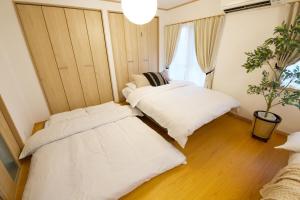 two beds in a room with a potted plant at 伯旺ビル 403 in Kanazawa