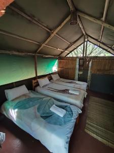 two beds in a room in a tent at Amangwane Tented Camp in Kosi Bay