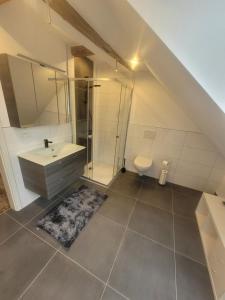a bathroom with a shower and a sink and a toilet at Ferienwohnung Barfelde in Dötzum