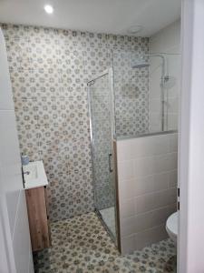 a bathroom with a shower and a toilet and a sink at La Belle des Pins in Mimizan +2 photos