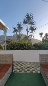 a white wall with palm trees in the background at Kanela Guest House B-side in Machico