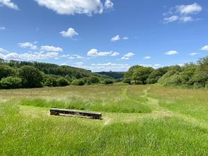 an old bench in the middle of a field at The Buttery in Marros +2 photos