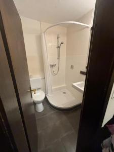 a bathroom with a shower and a toilet at Schinkels Brauhotel in Witzenhausen +5 photos