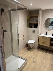 a bathroom with a shower and a toilet and a sink at Perle Dazur Jacuzzi Suite Parking Prive 5min Mer in Menton +12 photos