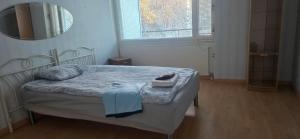 a bedroom with a bed with a blue blanket and a mirror at Pankkikallio 14 in Sorsakoski