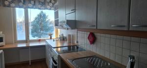 a kitchen with a christmas tree in the window at Pankkikallio 14 in Sorsakoski