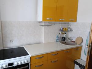 a small kitchen with a sink and a stove at ELENA Center Apartment in Timişoara