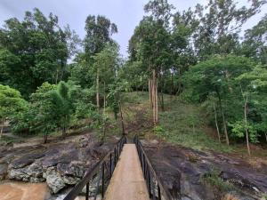 a bridge over a river in a forest at Ban Kham Kee Homestay in Chiang Mai