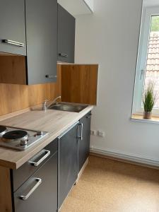 a kitchen with a sink and a counter top at Bad Salzdetfurth Gästewohnungen in Bad Salzdetfurth