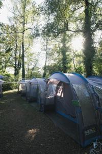 a row of tents in a field with trees at Beer Base-Camp Oktoberfest camping with free welcome beer and traditional dirndl-lederhosen shop in Munich