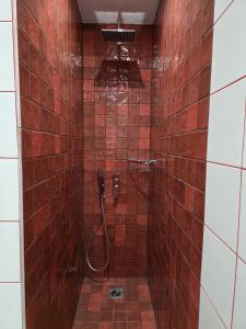 a bathroom with a shower with red tiles at Psani 50m2 apartment in Nafpaktos