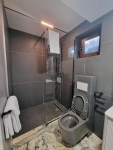 a bathroom with a toilet and a glass shower at ApuLux Apartments in Alba Iulia +8 photos
