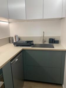 a kitchen with a sink and a counter at Appartement Cozy in Le Monteil