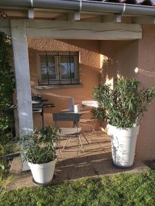 two large potted plants sitting on a patio at Appartement Cozy in Le Monteil