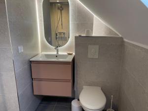 a bathroom with a sink and a toilet and a mirror at Le gîte des pélus in Rochecorbon +6 photos