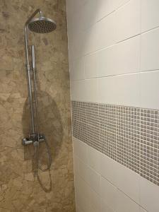 a shower with a shower head in a bathroom at La parenthèse de Saint Esselin 2 in Larreule +4 photos