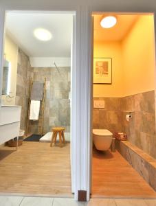 a bathroom with a shower and a toilet in it at La Villa du Mont in Gourdon