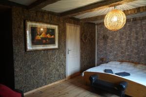 a bedroom with a bed and a chandelier at Chambre d'hôtes Juste-Confortable in Fleurey-lès-Lavoncourt +106 photos