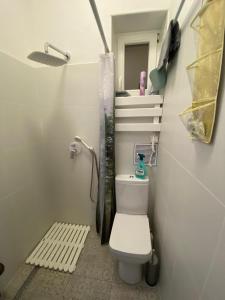 a small bathroom with a toilet and a shower at ARTep apartment in Pilsen +35 photos