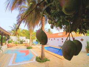 a swimming pool next to a house with a palm tree at Cozy Studio with Private Jacuzzi and Pool! in Saly Portudal