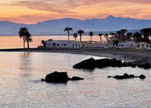 a sunset over a beach with palm trees and buildings at Bluemoon in Mazarrón
