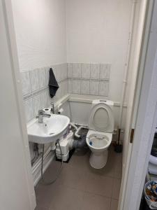 a bathroom with a toilet and a sink at Affordable, fully equipped practical housing! in Laivaniemi