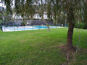 a tree in a park with a swimming pool at Chalet adosado con piscina en el Valle de Asón LA TUDANCA in Arredondo