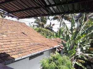 a bird perched on top of a roof at jenul villa in Ahangama