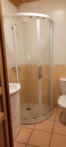 a bathroom with a shower with a sink and a toilet at Les Chalets du Choumeau in Saint-Léger-les-Mélèzes +7 photos