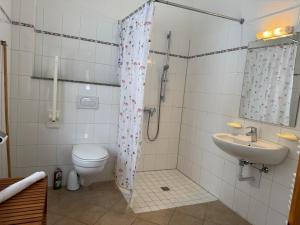 a bathroom with a shower and a toilet and a sink at Lachmöwe in Munkbrarup +16 photos