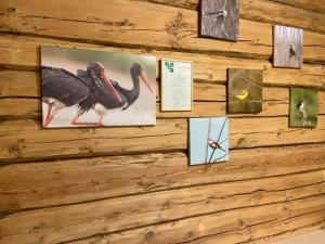 eine Wand mit Bildern von Vögeln darauf in der Unterkunft Stikāni in Bernāni