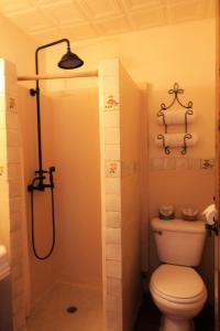 a bathroom with a toilet and a shower in it at The Maverick Inn in Alpine