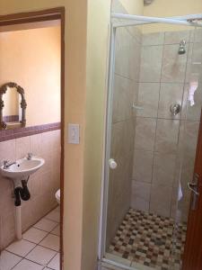 a bathroom with a shower and a sink at Philly-Wen Guesthouse in Schweizer-Reineke +7 photos