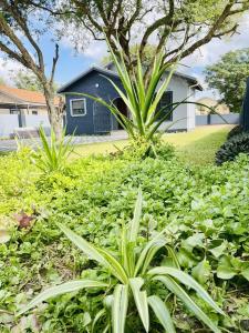 a garden of plants with a house in the background at Que Self Catering Apartments in Gaborone