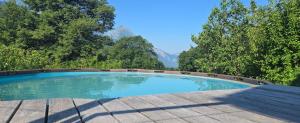 a swimming pool with trees and mountains in the background at Haslibergoase in Hasliberg