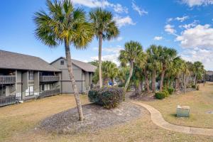 a palm tree in a yard next to a house at Golfer's Getaway! Modern Diamondhead Condo in Diamondhead