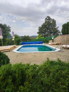 a large swimming pool in a yard with chairs around it at Etno selo Milanovic - Nonac in Kuršumlija +37 photos