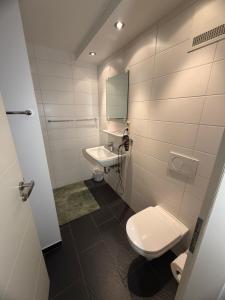 a bathroom with a toilet and a sink and a mirror at Brenzhotel Heidenheim in Heidenheim an der Brenz