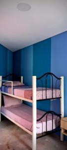 two bunk beds in a room with blue walls at Los Adobes in Cerrillos +18 photos