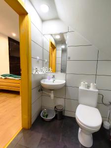 a bathroom with a toilet and a sink at Gajówka Świt in Łyskowo +47 photos