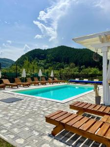 a swimming pool with lounge chairs and a mountain at Pensiunea Sub Horiță in Leordina