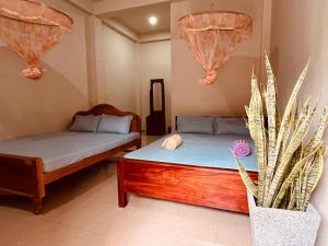 a bedroom with two beds and a potted plant at Ranathunga Guest Kataragama in Kataragama +23 photos