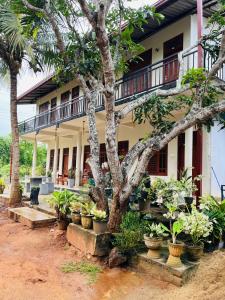 a building with potted plants in front of it at Ranathunga Guest Kataragama in Kataragama