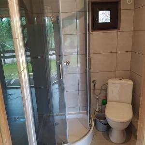 a bathroom with a toilet and a shower at Domki nad Wałpuszem in Stare Kiejkuty +22 photos