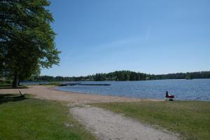a bird sitting on the shore of a lake at Djulöcamping in Katrineholm