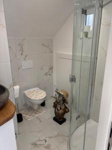 a bathroom with a shower and a toilet at Idyllisches Kleinod in Gerolzhofen