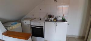 a small kitchen with a sink and a stove at Airport Guesthouse Rooms and Apartmants in Beograd +10 photos