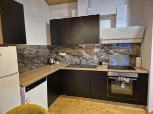 a kitchen with black cabinets and a counter top at Rustica Apartments in Maribor +6 photos