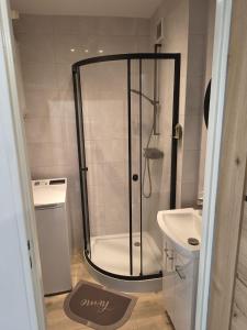 a bathroom with a shower and a toilet and a sink at Apartament w Biłgoraju in Biłgoraj